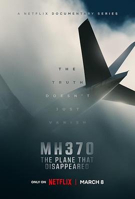MH370：消失的航班